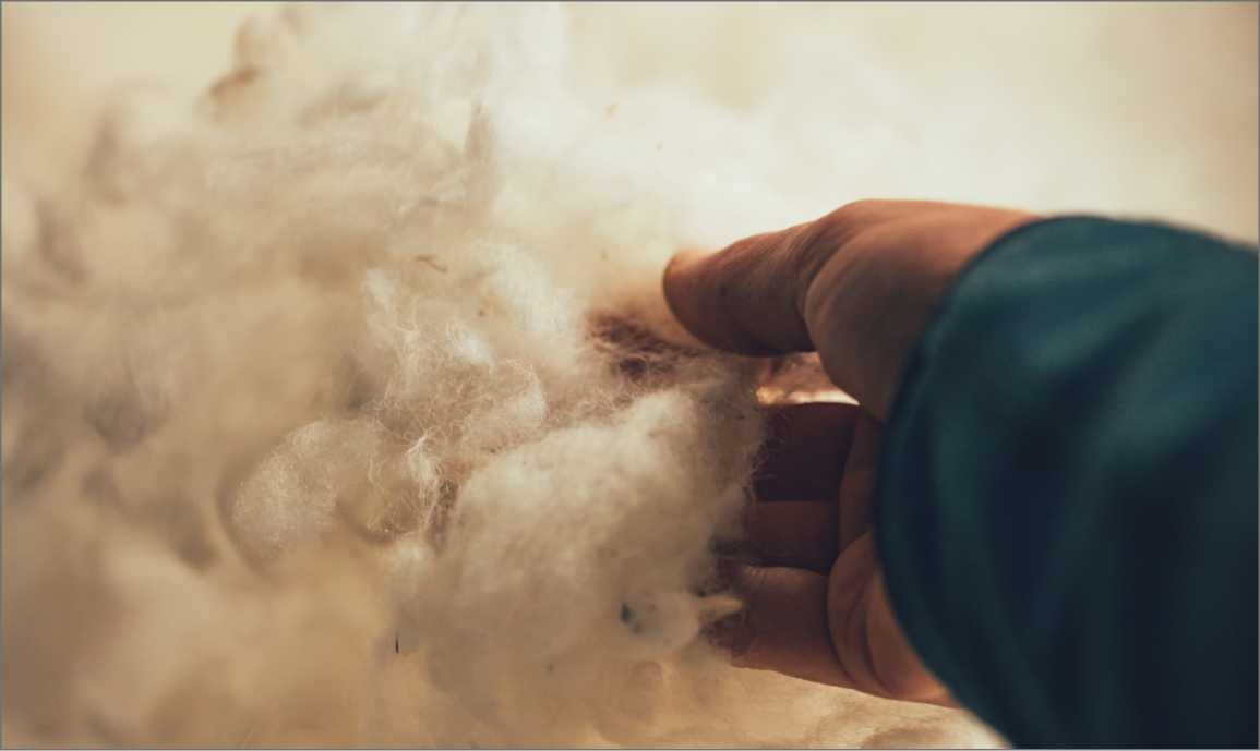 Body Part, Finger, Hand, Person, Baby, Body Part, Finger, Hand, Person, Baby