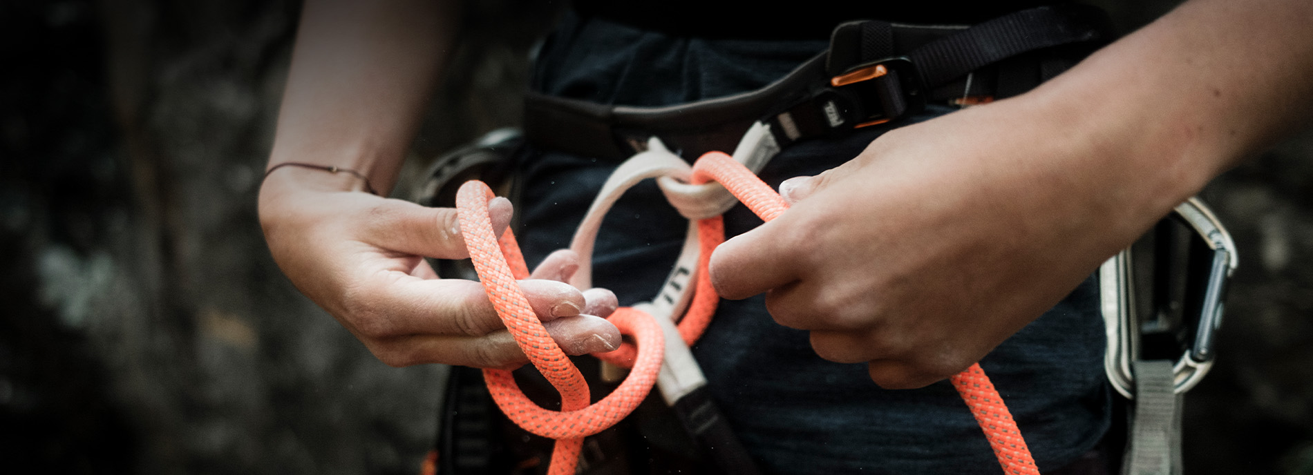 251126_Protact_Langlebigkeit_Commitment_Desktop_1900x688_CWI 251126_Protact_Langlebigkeit_Commitment_Desktop_1900x688_CWI