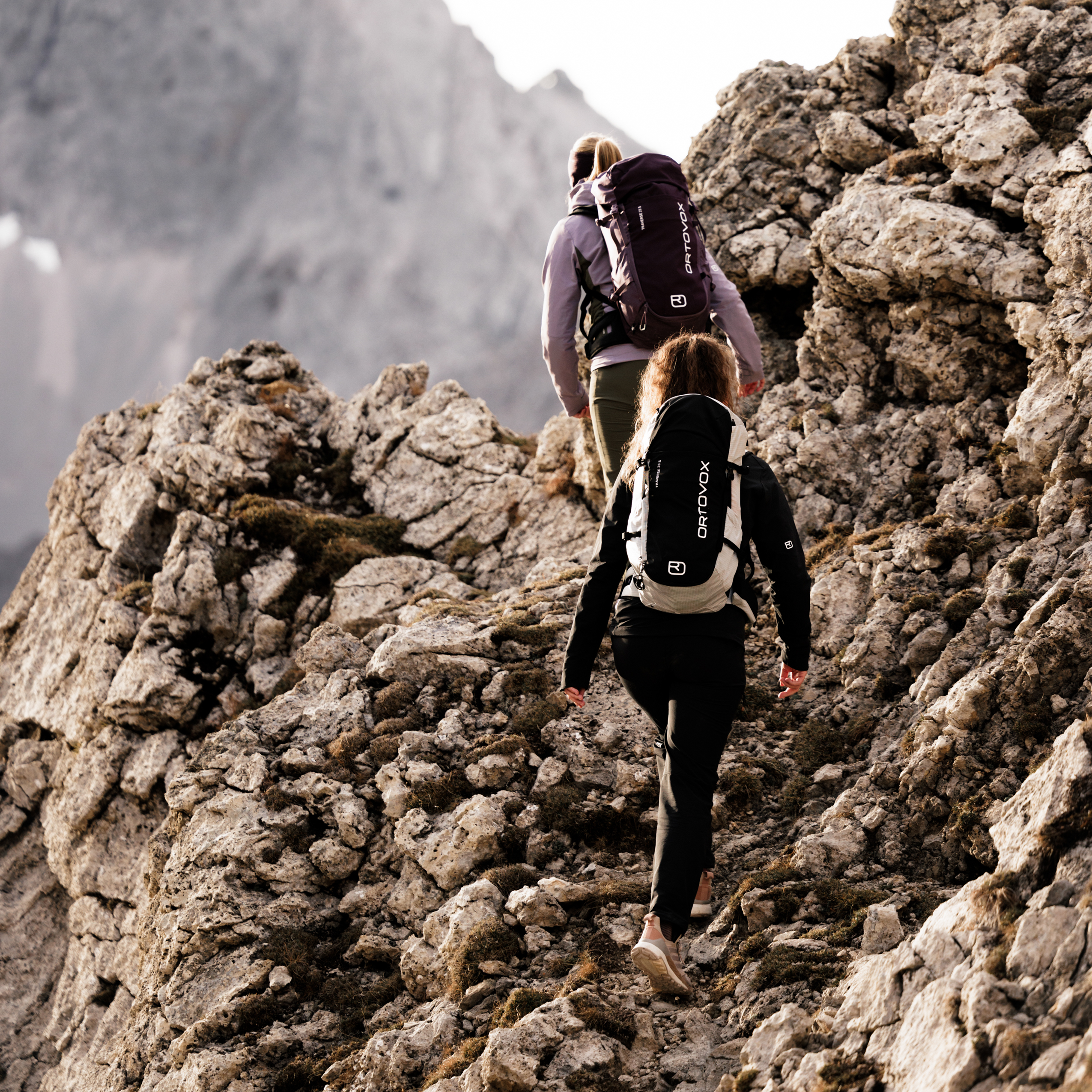 48558-TRAVERSE_PURE_28_S-D-11.png 48558-TRAVERSE_PURE_28_S-D-11.png