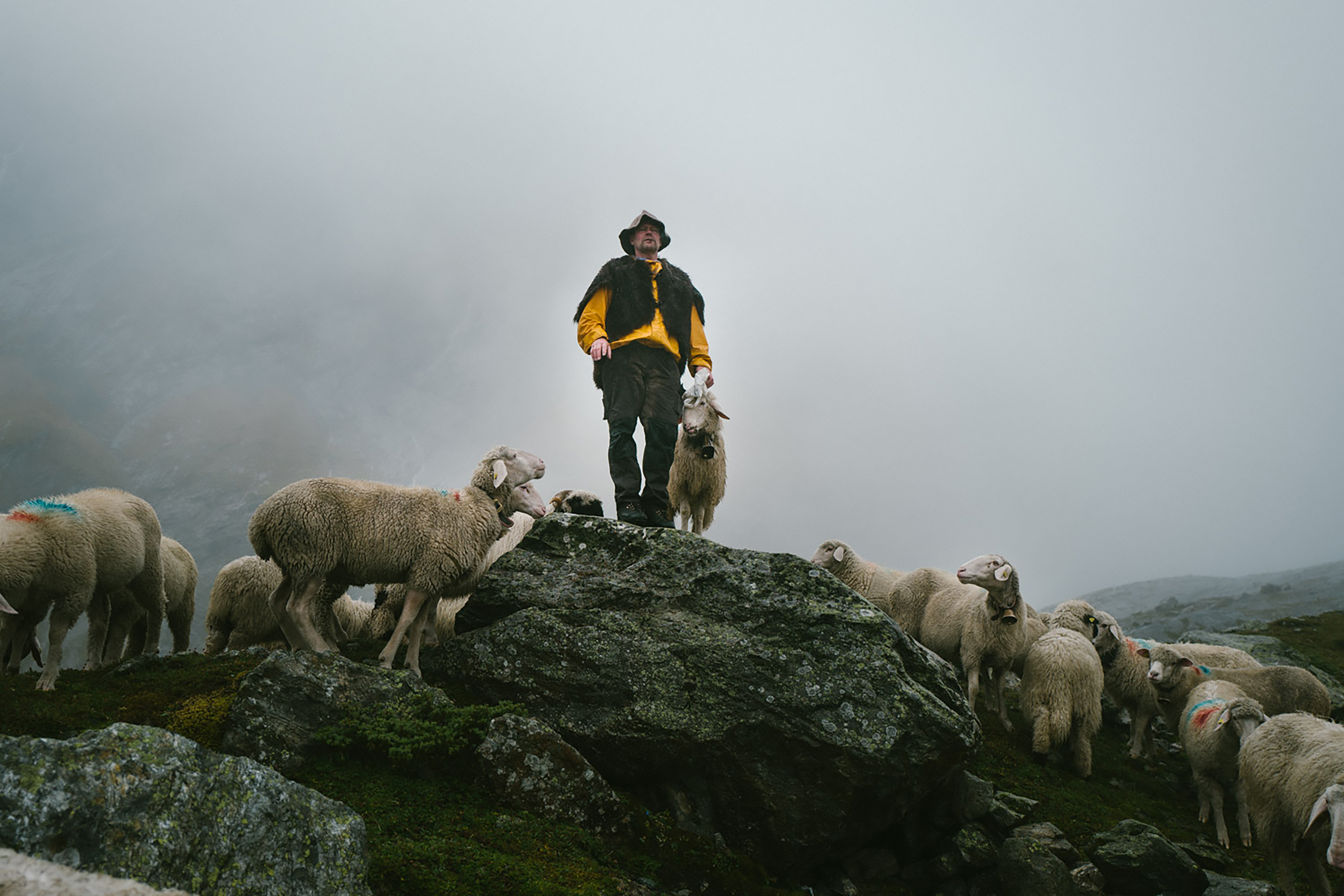 ORTOVOX_SWISSWOOL_WS2324_BEECH_L1060208_(1) Adult, Male, Man, Person, Sheep