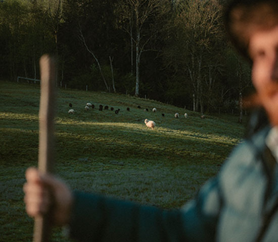 Field, Nature, Pasture, Person, Grassland