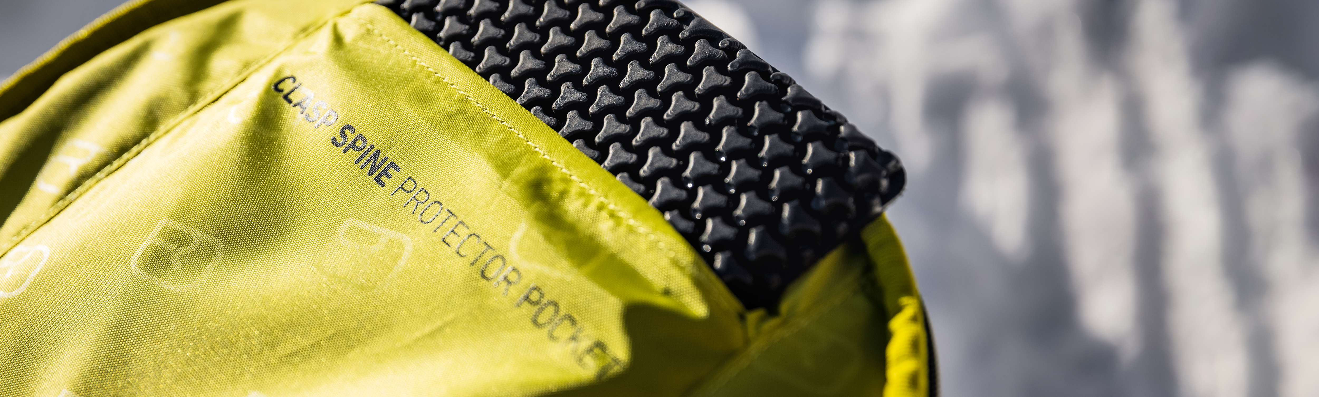 Protettore dorsale Protettore dorsale