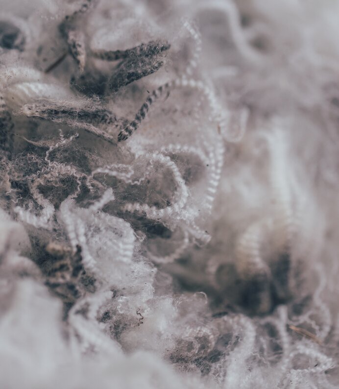 FW_2015_TAS_1549 FW_2015_TAS_1549