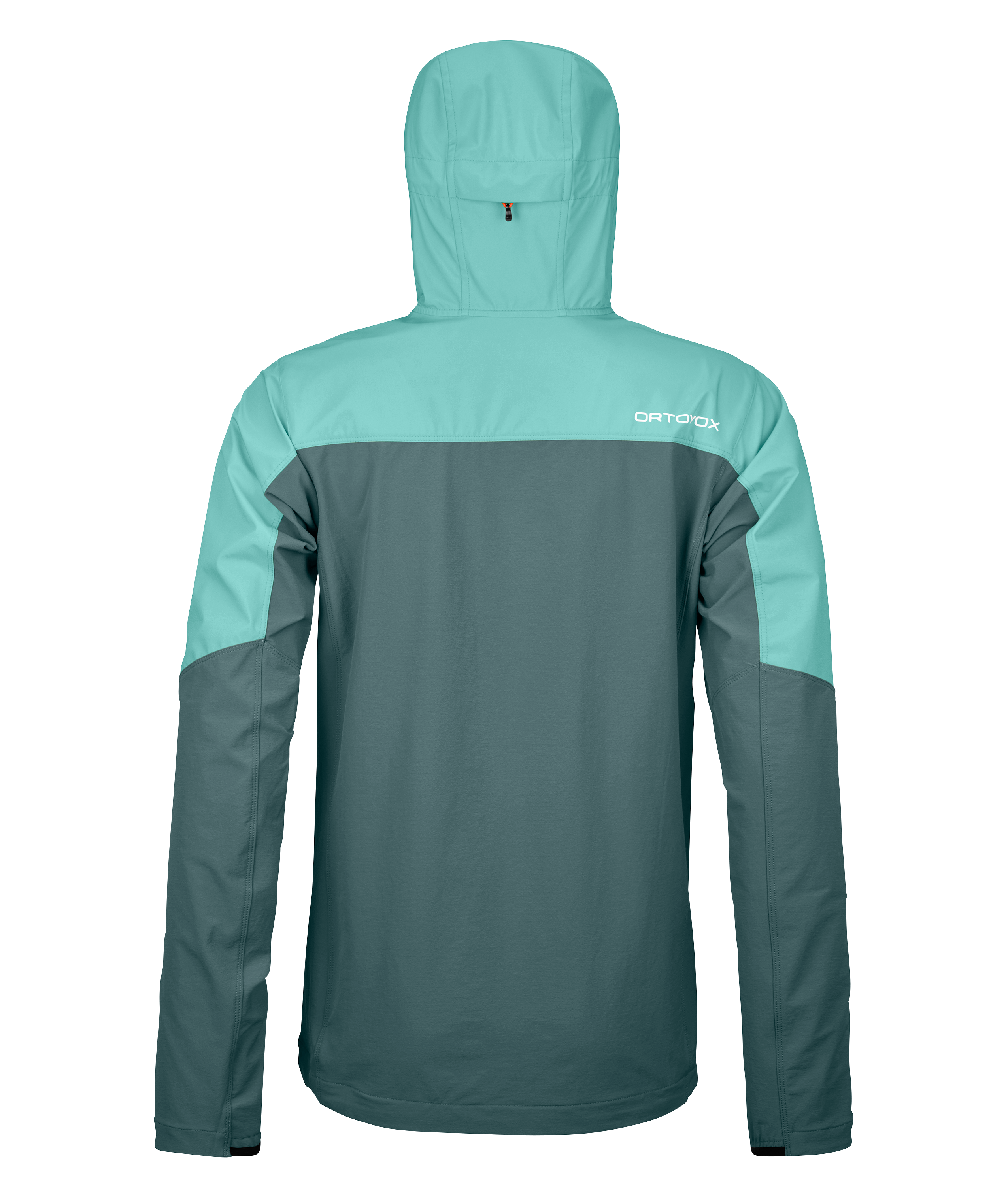 Clothing, Coat, Jacket, Hoodie, Long Sleeve