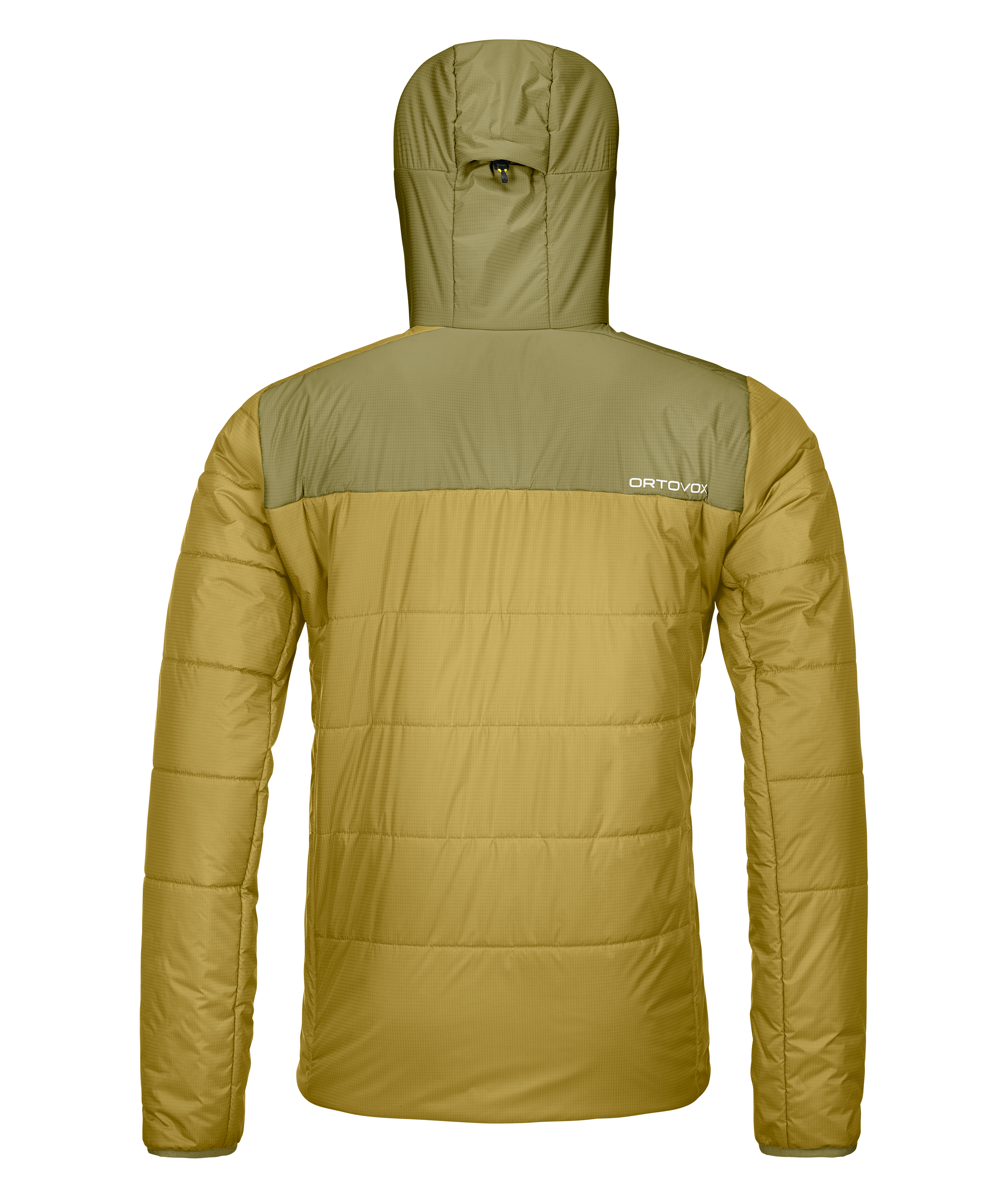 Clothing, Coat, Jacket, Hood, Person