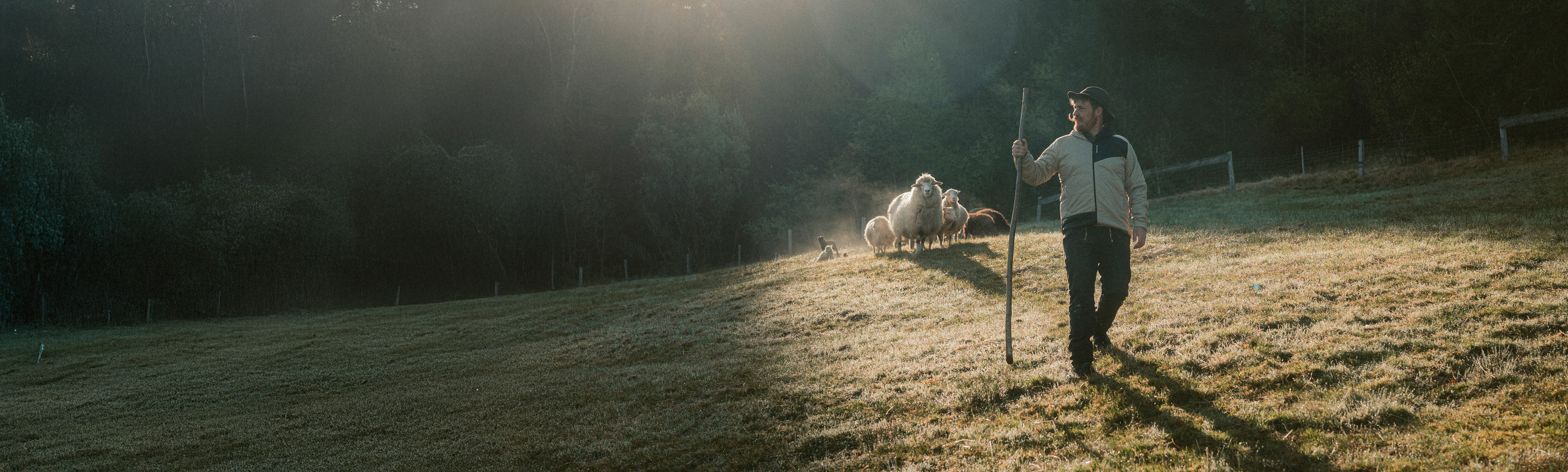 OVX_Historie_5000x1506 Person, Walking, Photography, Mammal, Sheep