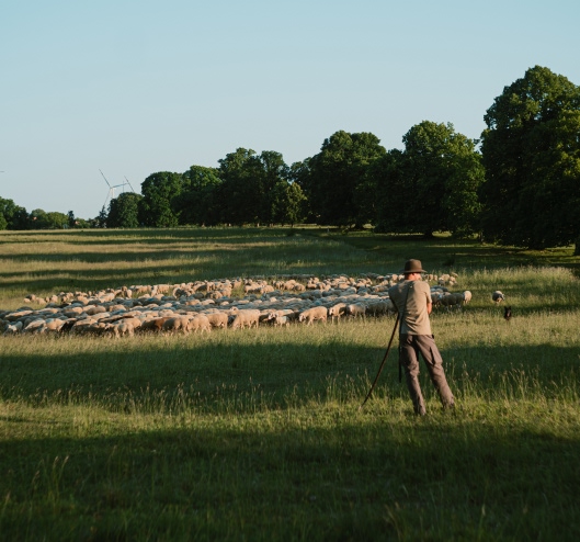 2260_WWW.CHRISTOF-WOLF.COM_ORTOVOX_LocWool Photography, Field, Pasture, Grassland, Person