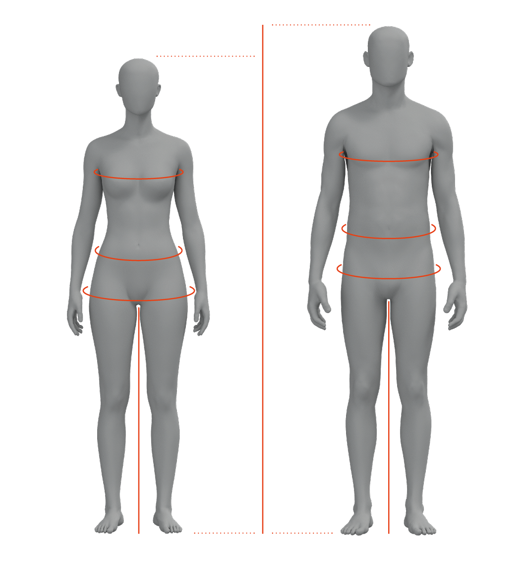 Plot, Measurements, Adult, Man, Person