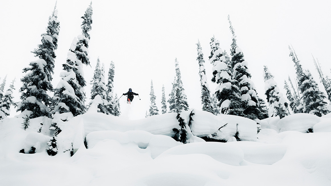 Tree, Fir, Outdoors, Nature, Person