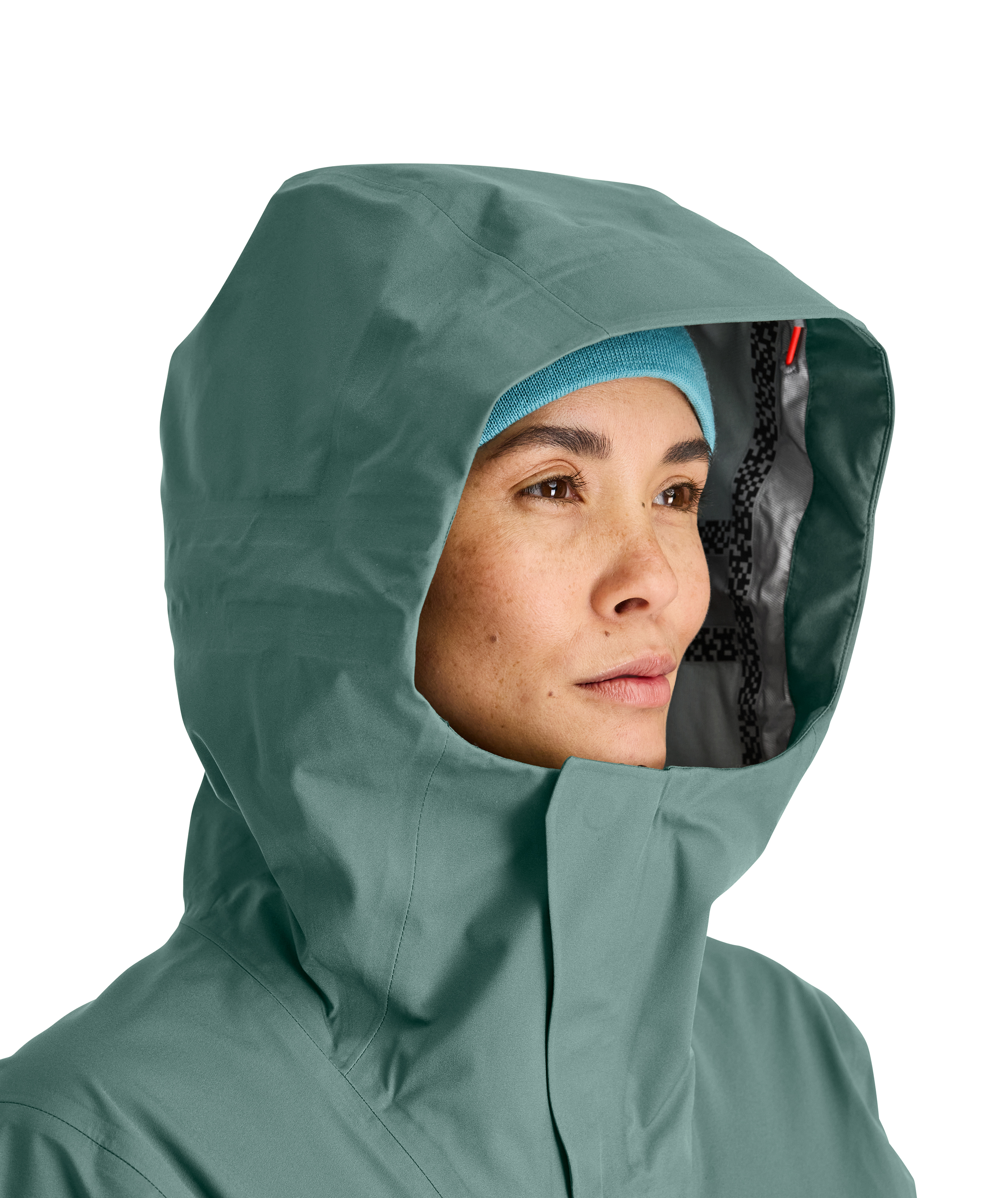 Hood, Coat, Hoodie, Person, Woman, Hood, Coat, Hoodie, Person, Woman