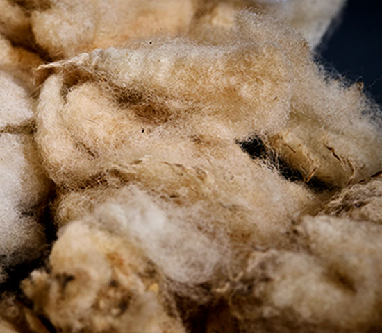 swisswool 2_MedRes Wool