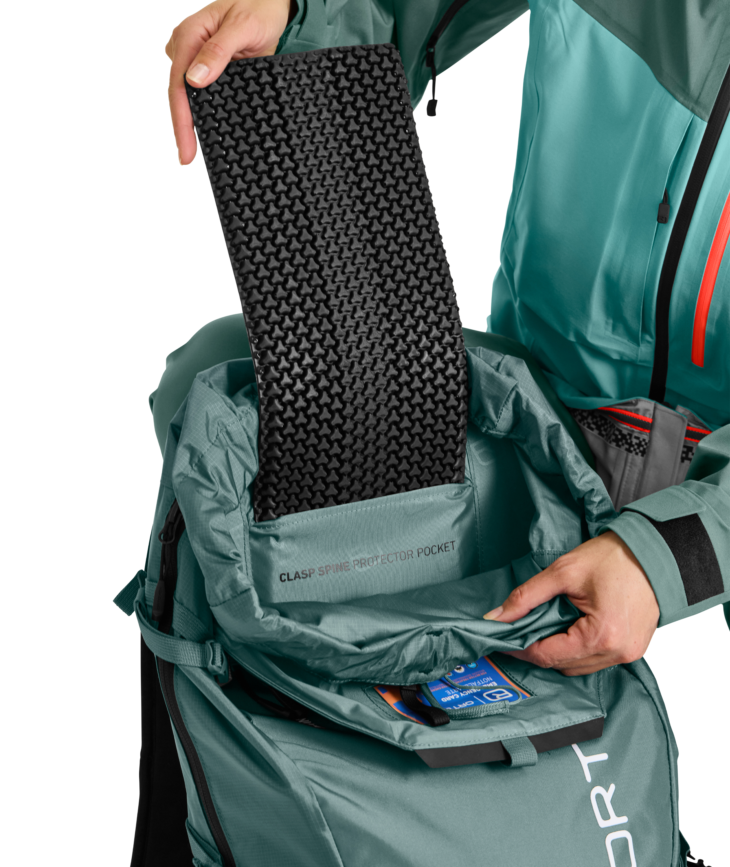 46864-RAVINE_26_S-D-02.jpg 46864-RAVINE_26_S-D-02.jpg