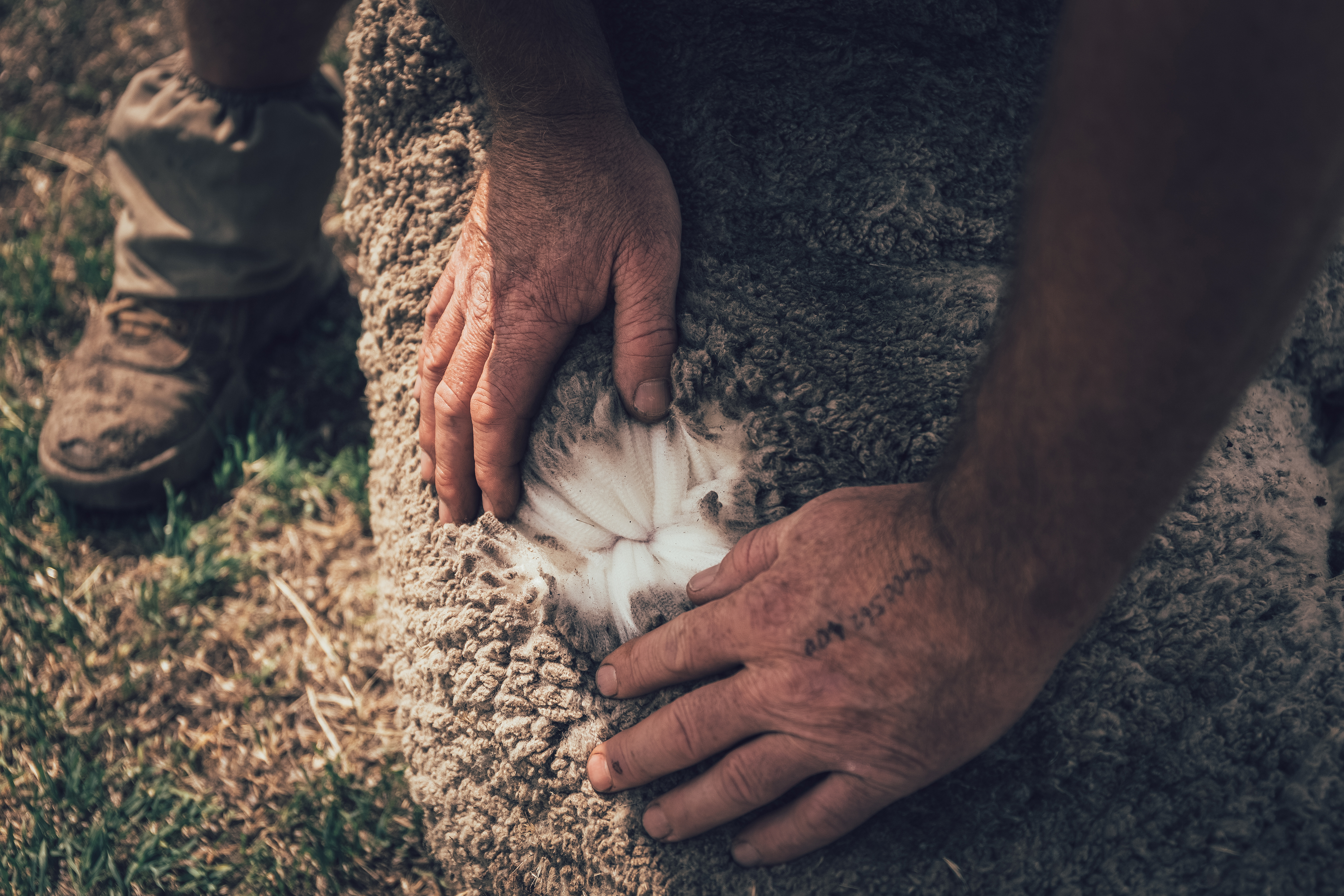 ORTOVOX Merino Wool_Franz Walter (4)