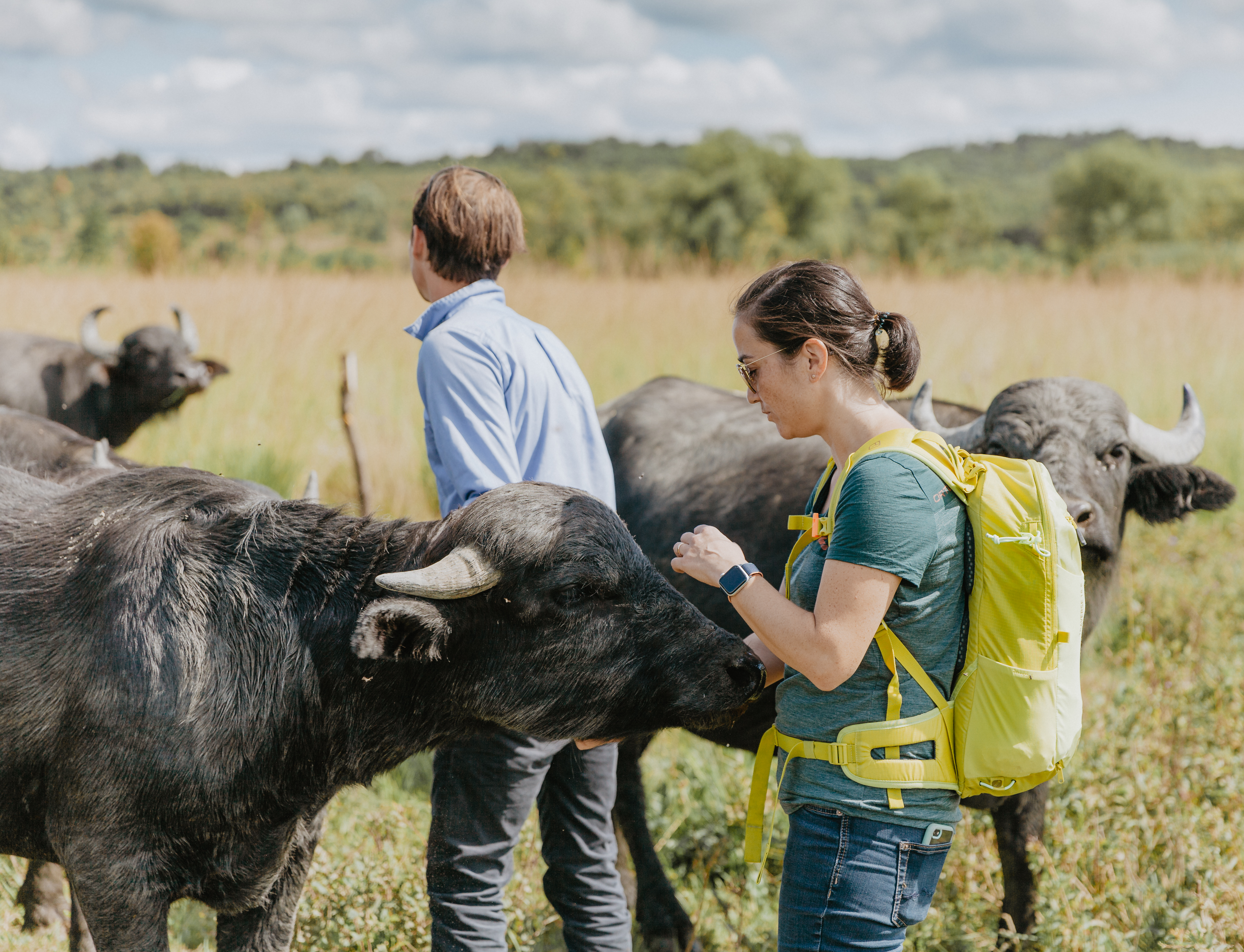 Narzissental-final Narzissental-final