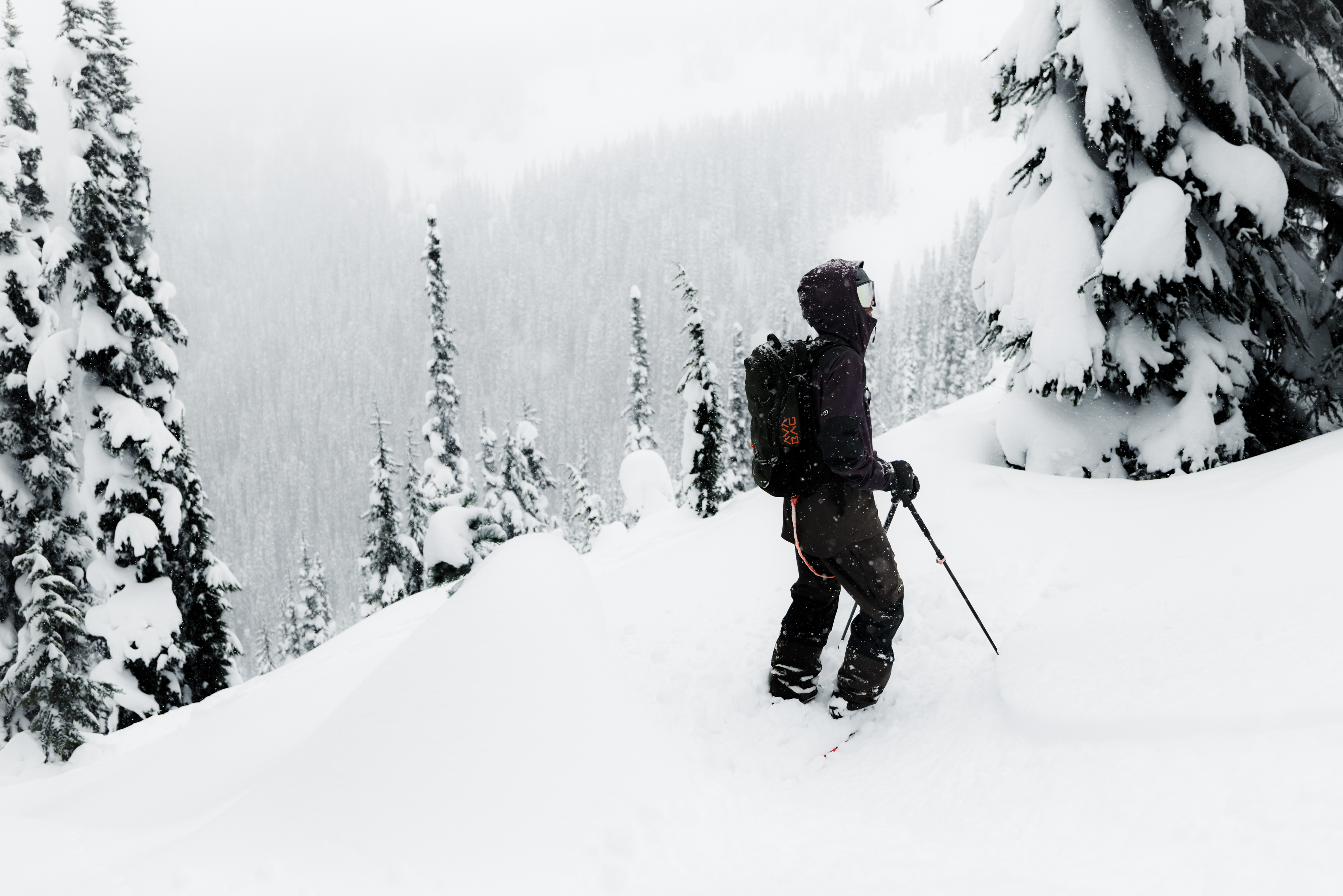 Glove, Tree, Nature, Outdoors, Piste